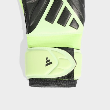 ADIDAS PERFORMANCE Athletic Gloves in Black