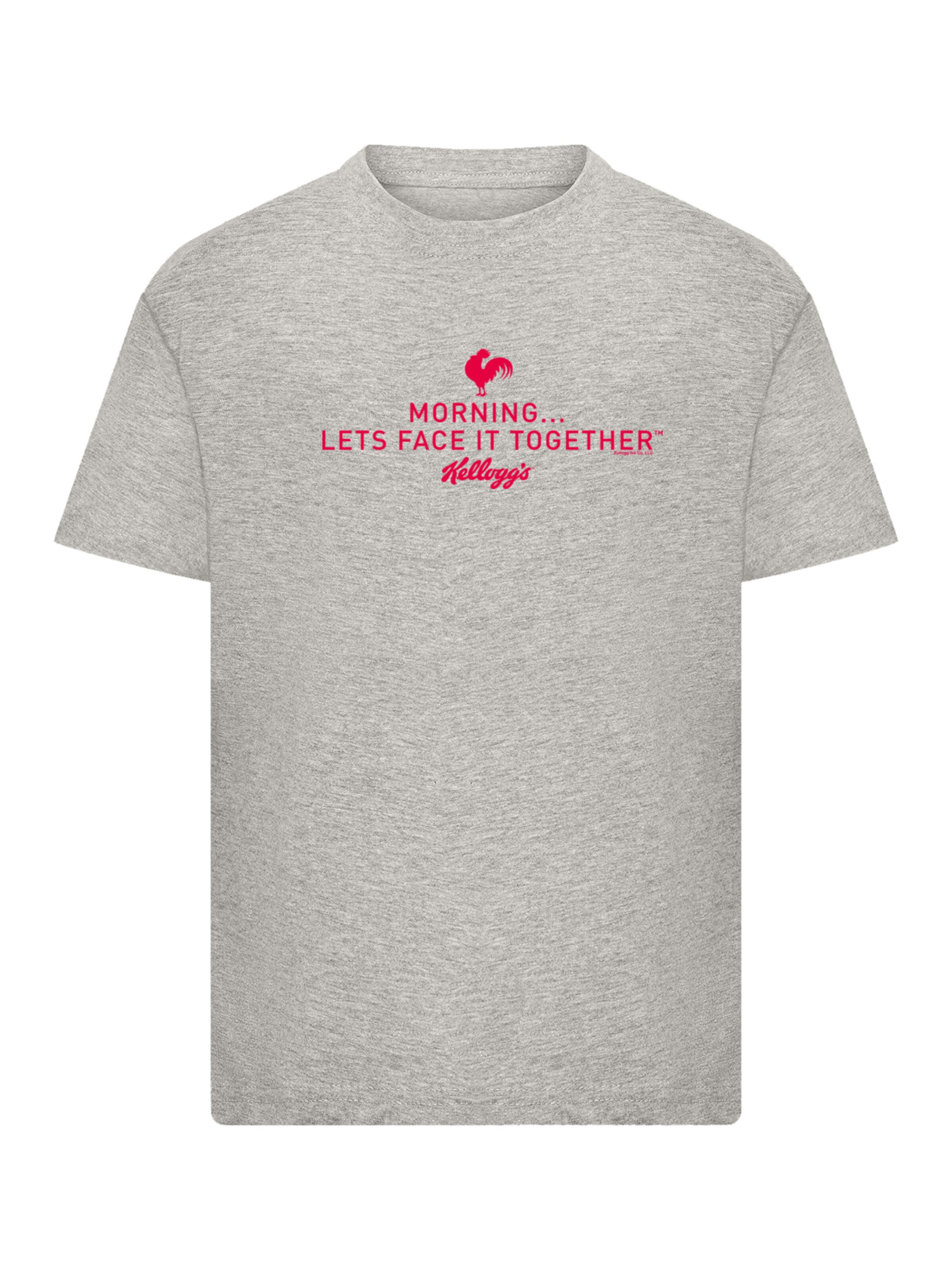 F4NT4STIC Shirt in Grey: front