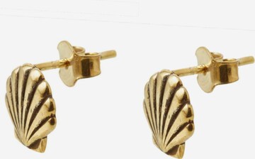 Gemshine Earrings 'Maritim Nautics' in Gold