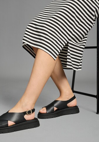 FLASHLIGHTS Dress in Black