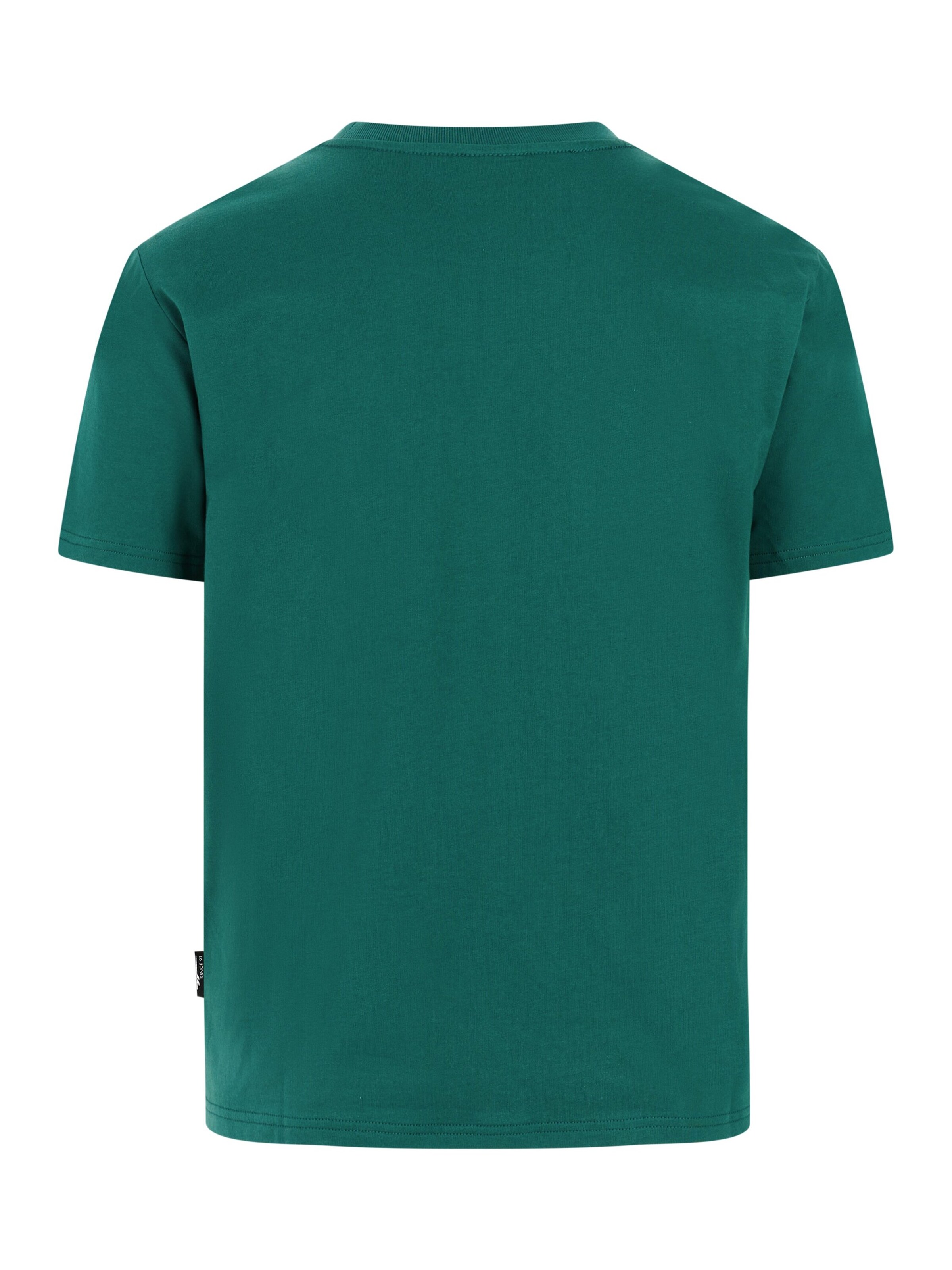PROTEST Shirt 'PRTAfia' in Green