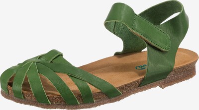 Greenova Sandale in grün, Produktansicht