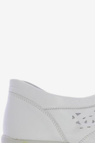 SEMLER Sneakers & Trainers in 43 in White
