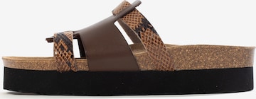 Mule 'LECCE' Bayton en marron : devant