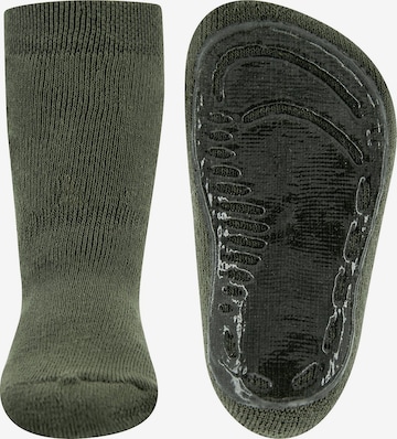 EWERS Socks in Green: front