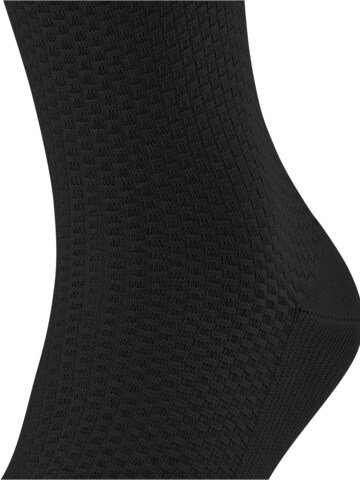 FALKE Socks 'Tiago Special Edition' in Black