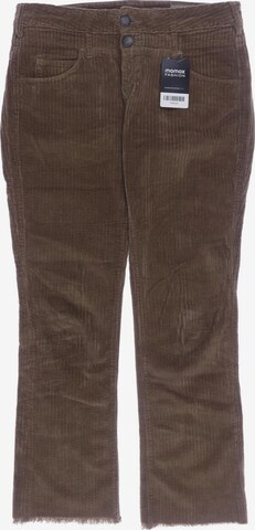 Herrlicher Pants in S in Brown: front
