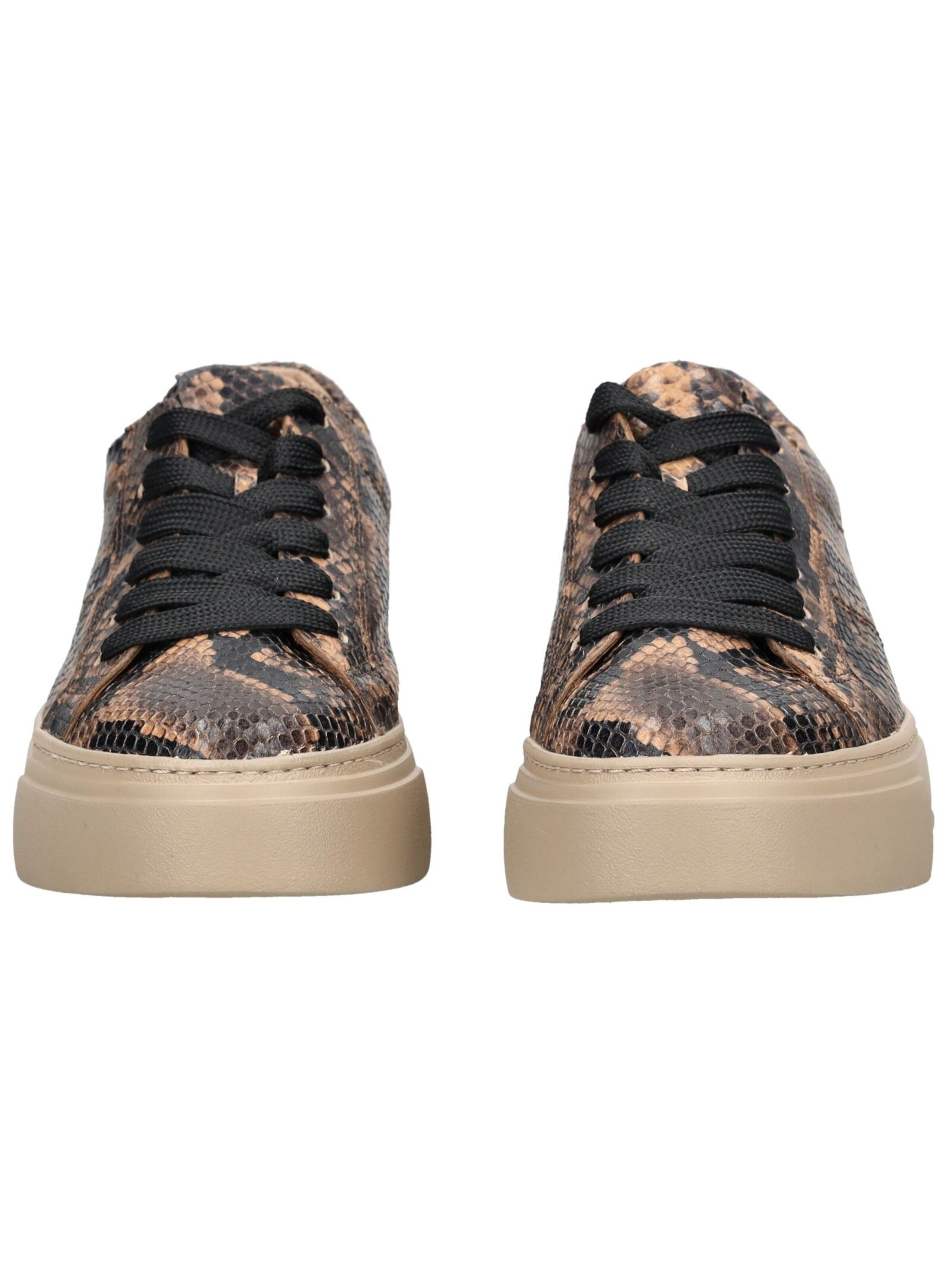 Paul Green Sneakers in Brown