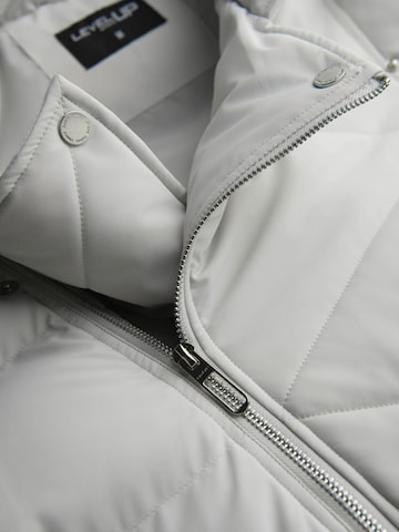 Ombre Winter Jacket 'Level Up' in Grey