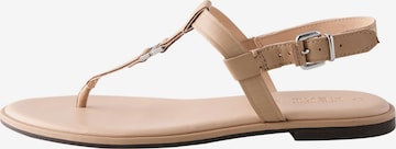 NextJapanke - bež boja: prednji dio