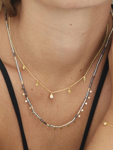 Chaîne 'Estrella' Luxenter en or