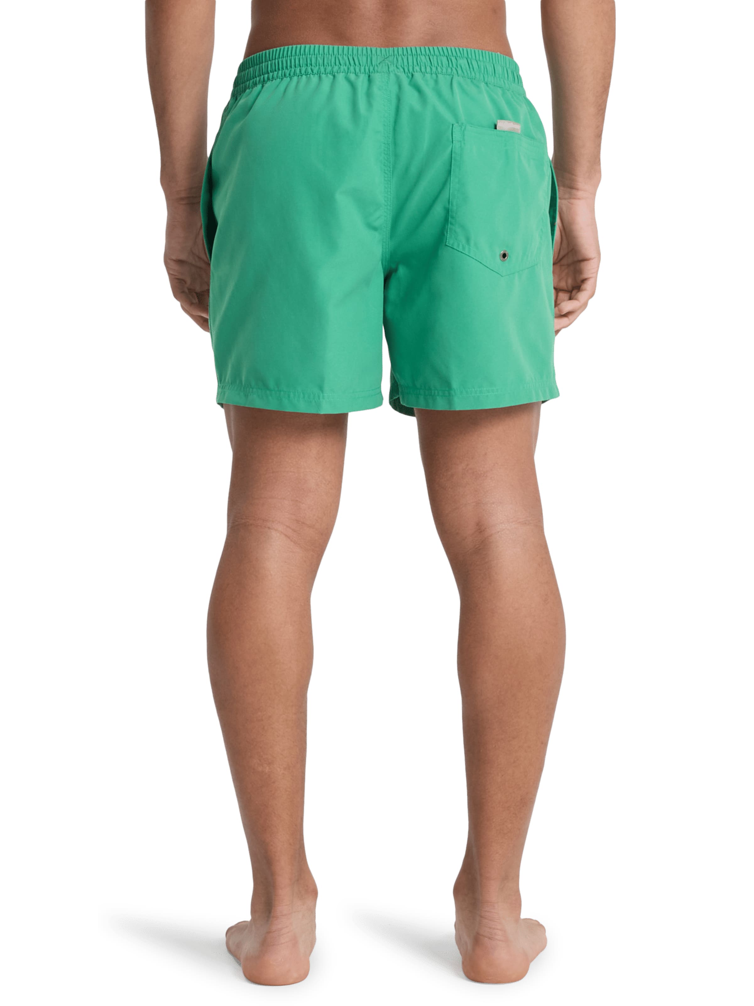 QUIKSILVER Regular Board Shorts 'Everyday Solid Volley' in Green