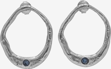 Haze&Glory Earrings in Silver: front