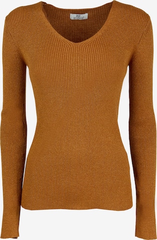 Influencer Sweater in Brown: front