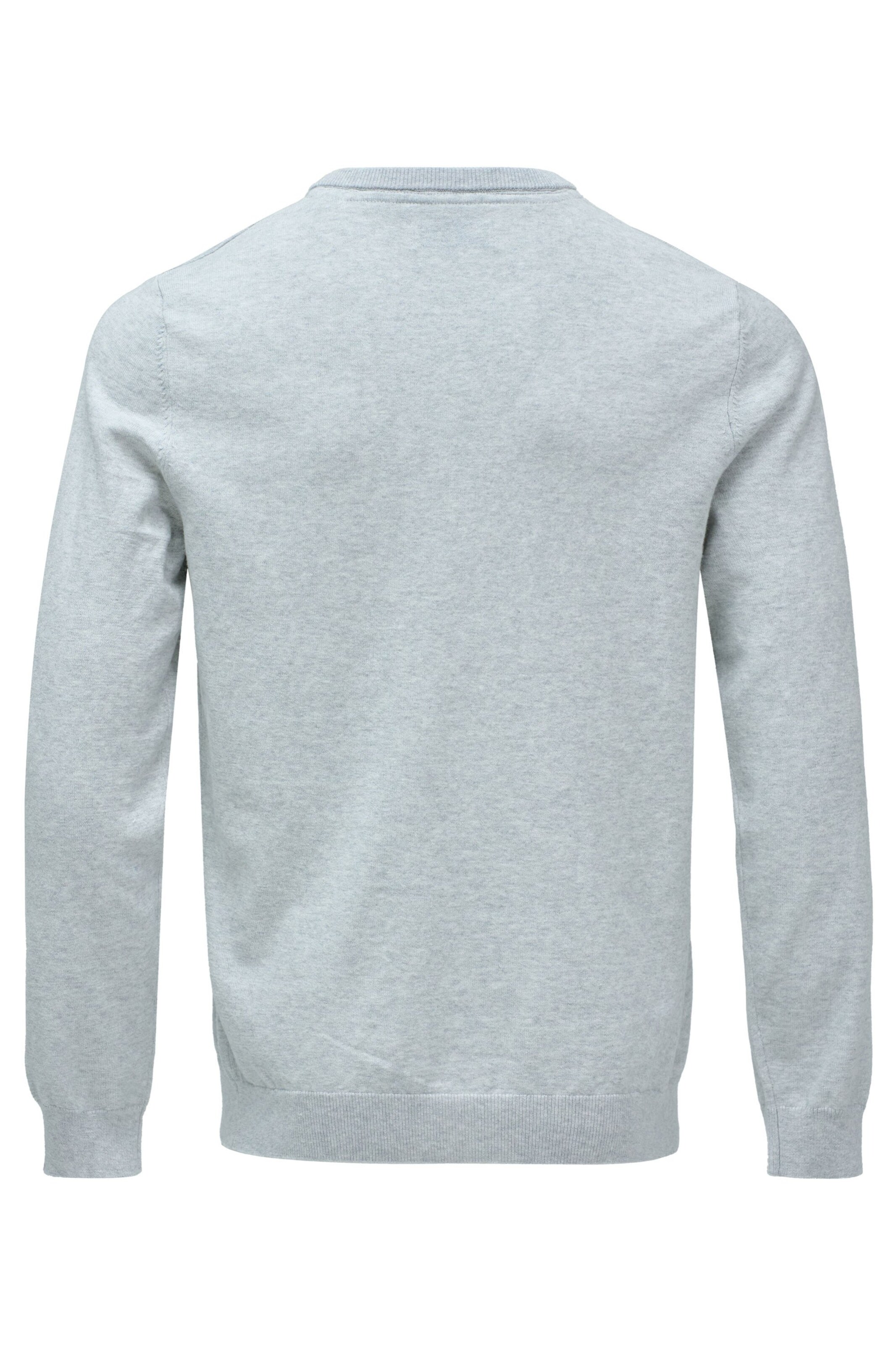 Salsa Jeans Trui in Grijs