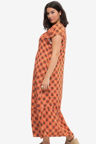 Studio Untold Kleid in Orange