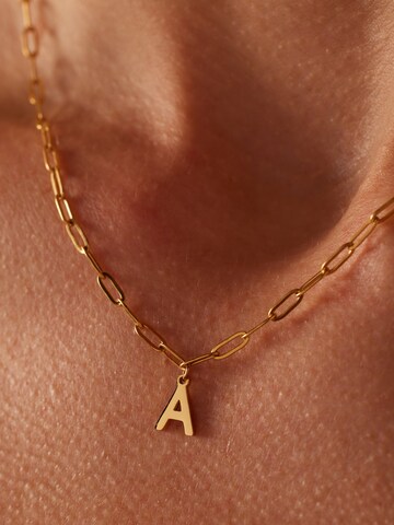 Lucardi Ketting in Goud