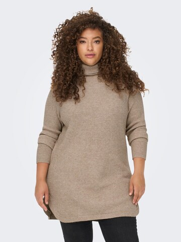 ONLY Carmakoma Sweater 'Fia Katia' in Brown: front