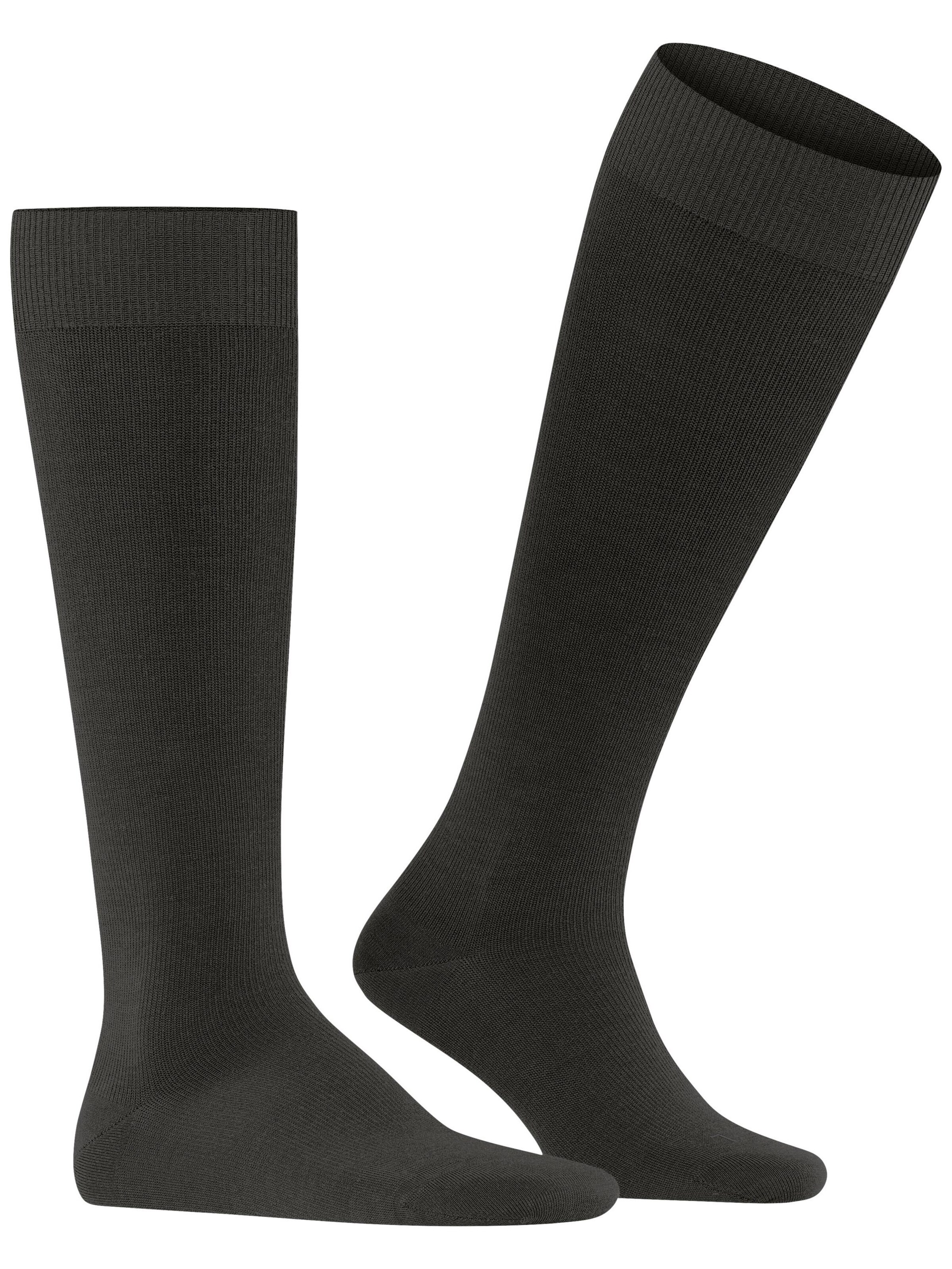 FALKE Knee High Socks 'Energizing Wool' in Brown