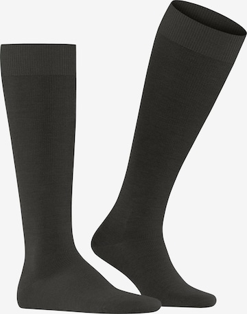 FALKE Knee High Socks 'Energizing Wool' in Brown: front