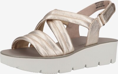Paul Green Sandalen met riem in de kleur Beige / Rose-goud, Productweergave