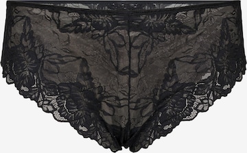 Devoted by Zizzi Slip 'Ltitu' in Schwarz