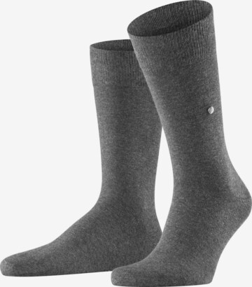 BURLINGTON Socks in Grey: front