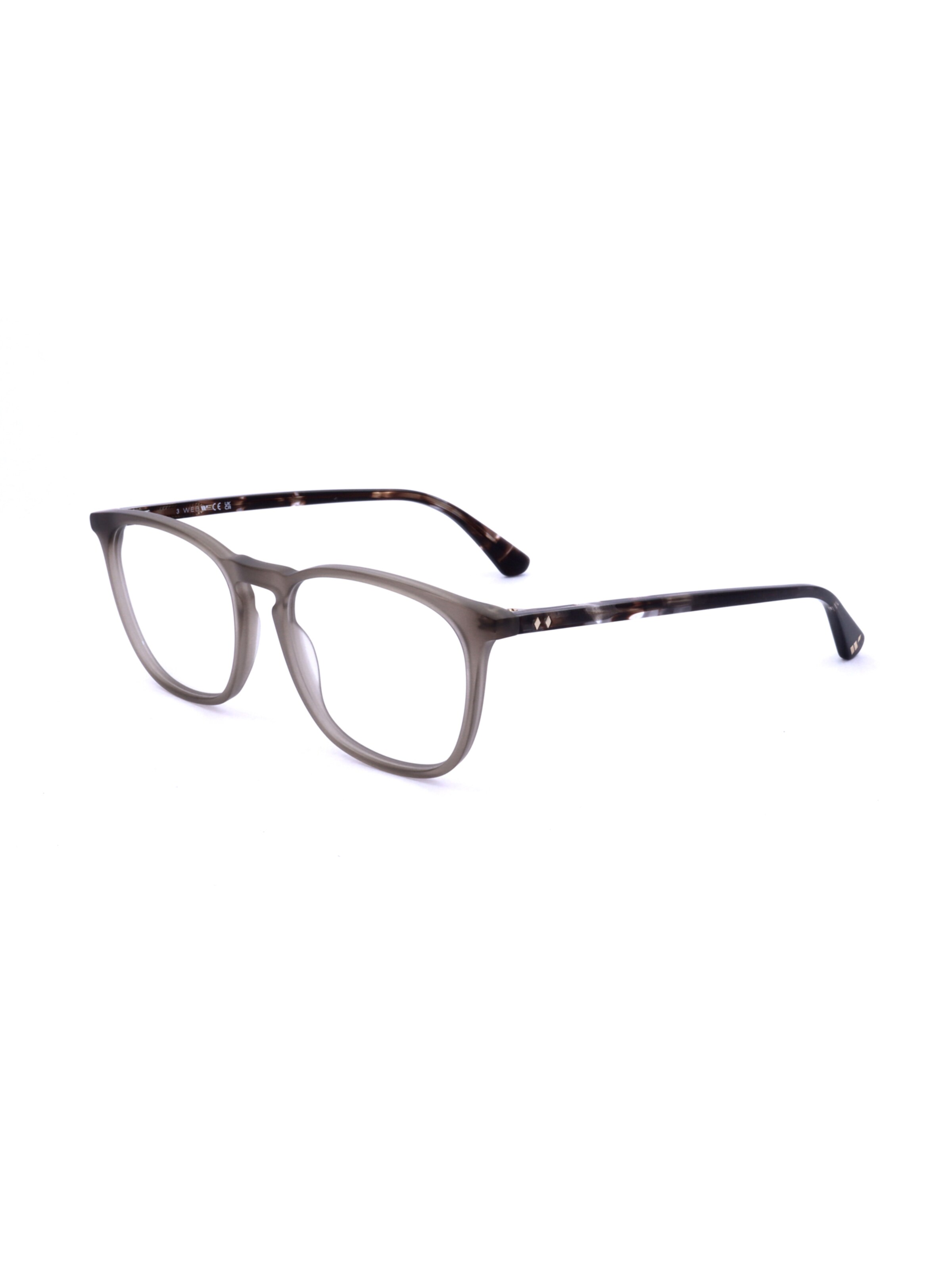 Occhiali 'WE5419' di Web Eyewear in grigio