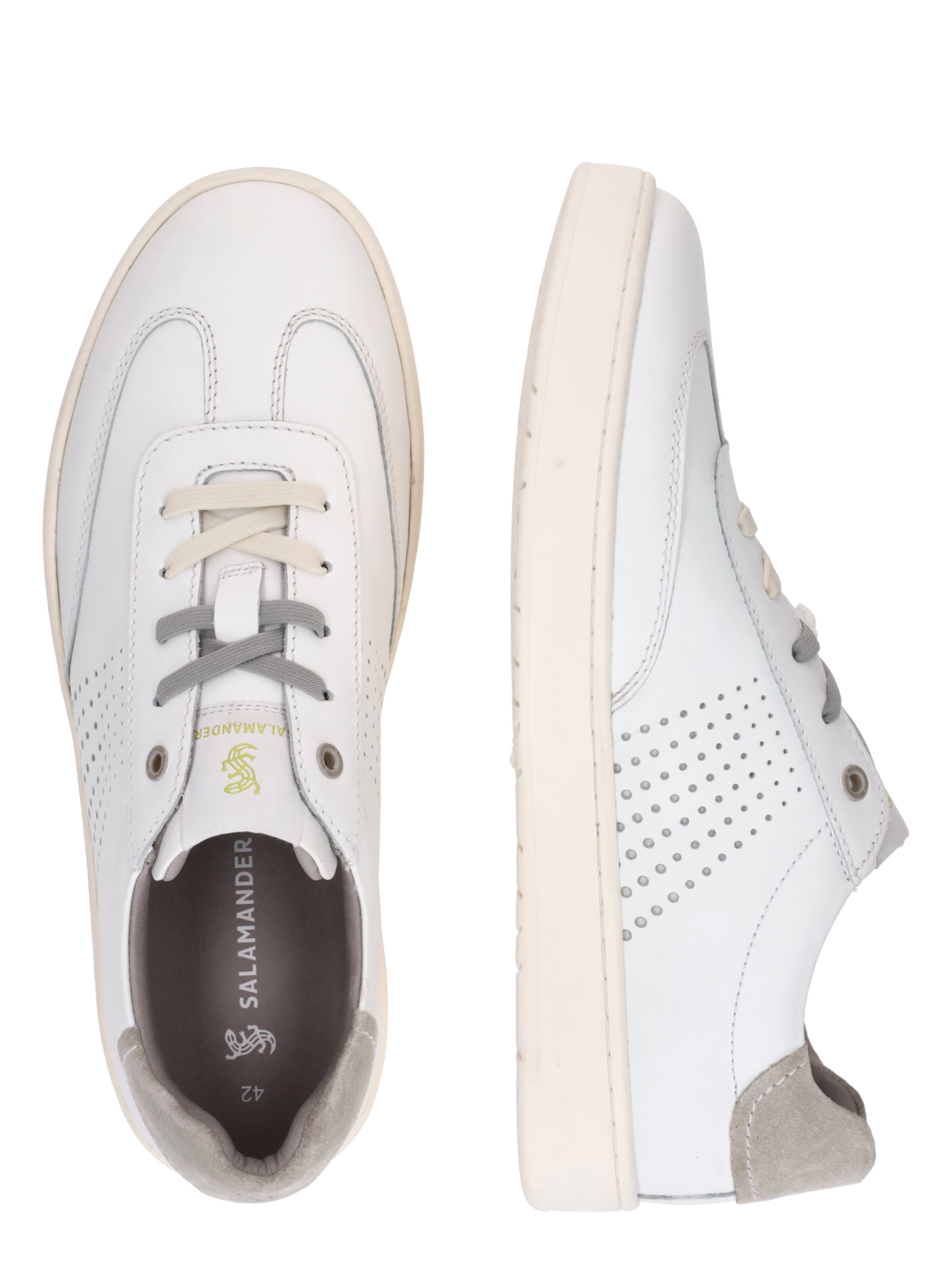 Baskets basses SALAMANDER en blanc