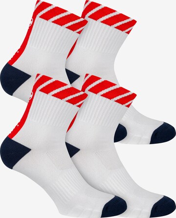 Champion Authentic Athletic Apparel Athletic Socks ' 4er-Pack Performance ' in Mixed colors: front