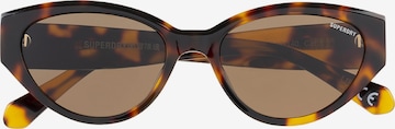 Superdry Eyewear Sunglasses in Brown: front