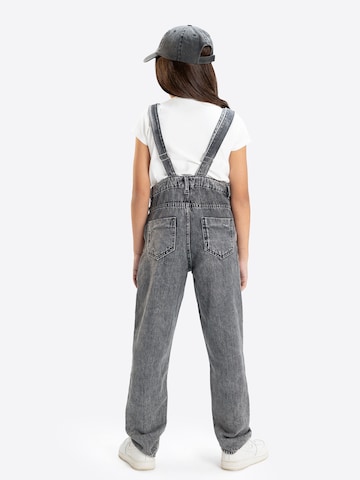 Solang Overall in Grijs