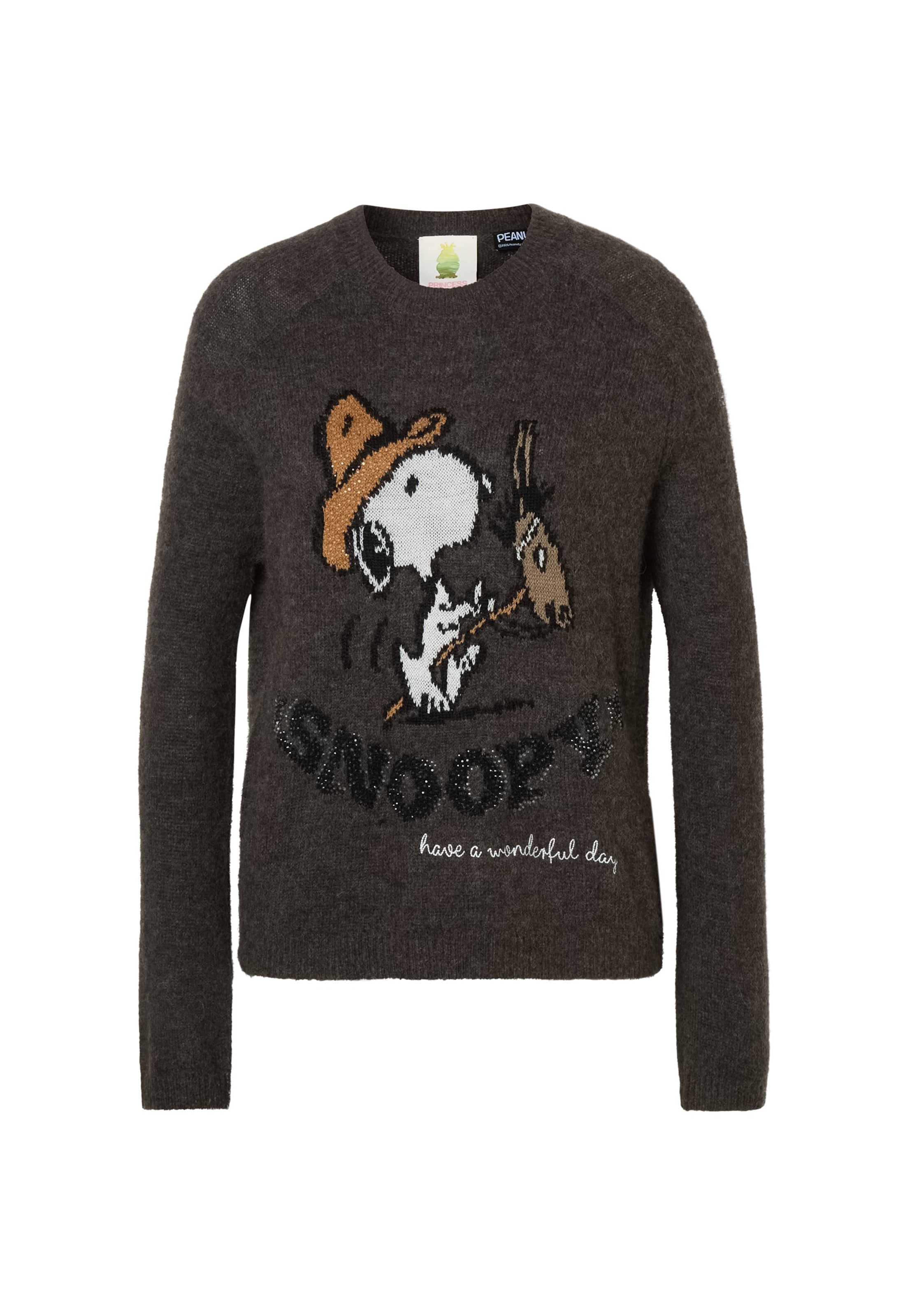 Pull-over 'Snoopy Western Intari' PRINCESS GOES HOLLYWOOD en marron : devant
