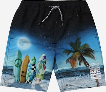 Shorts de bain 'Neal' Molo en bleu : devant