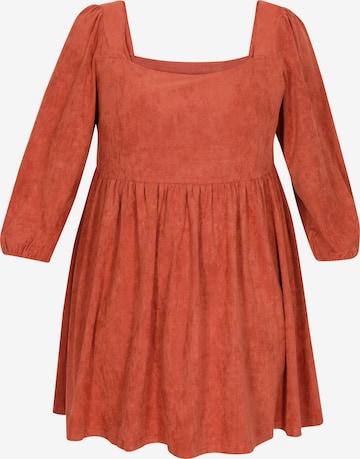 oranžinė Usha Suknelė: priekis