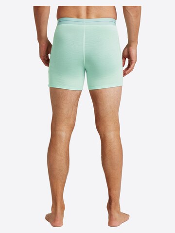 zils ICEBREAKER Bokseršorti 'M Anatomica Boxers'
