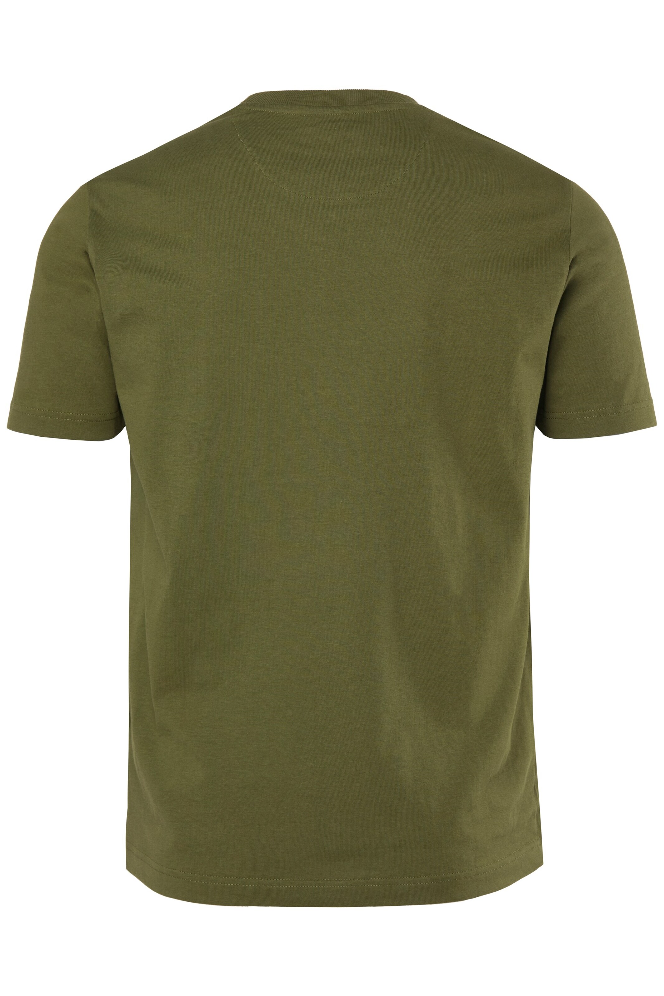 Men Plus Shirt in Green