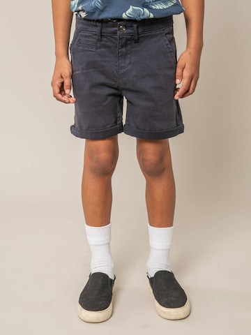 Regular Pantalon 'VARTY' Deeluxe en bleu : devant