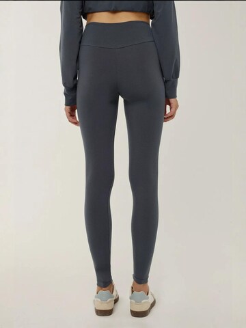 Hiccup Skinny Leggings in Grijs