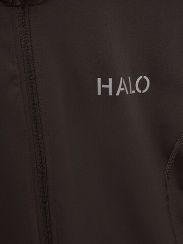 HALO Trainingsjack in Bruin