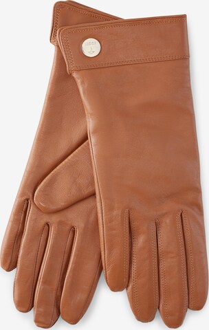 JOOP! Full Finger Gloves in Brown: front