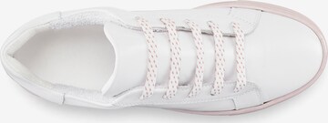 Baskets basses Elbsand en blanc