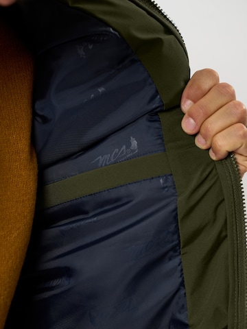 MCS Vesta 'Aidan' – šedá