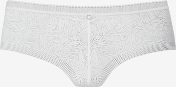 LASCANA Boyshorts in White: front