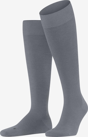 FALKE Kniestrümpfe 'Energizing Wool' in Grau: Vorderseite