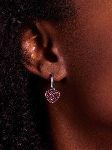Lucardi Earrings in Silver: front