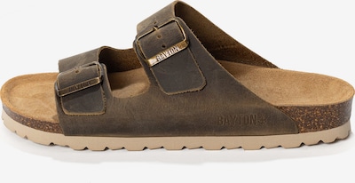 Bayton Pistokkaat 'Atlas' värissä suklaa, Tuotenäkymä