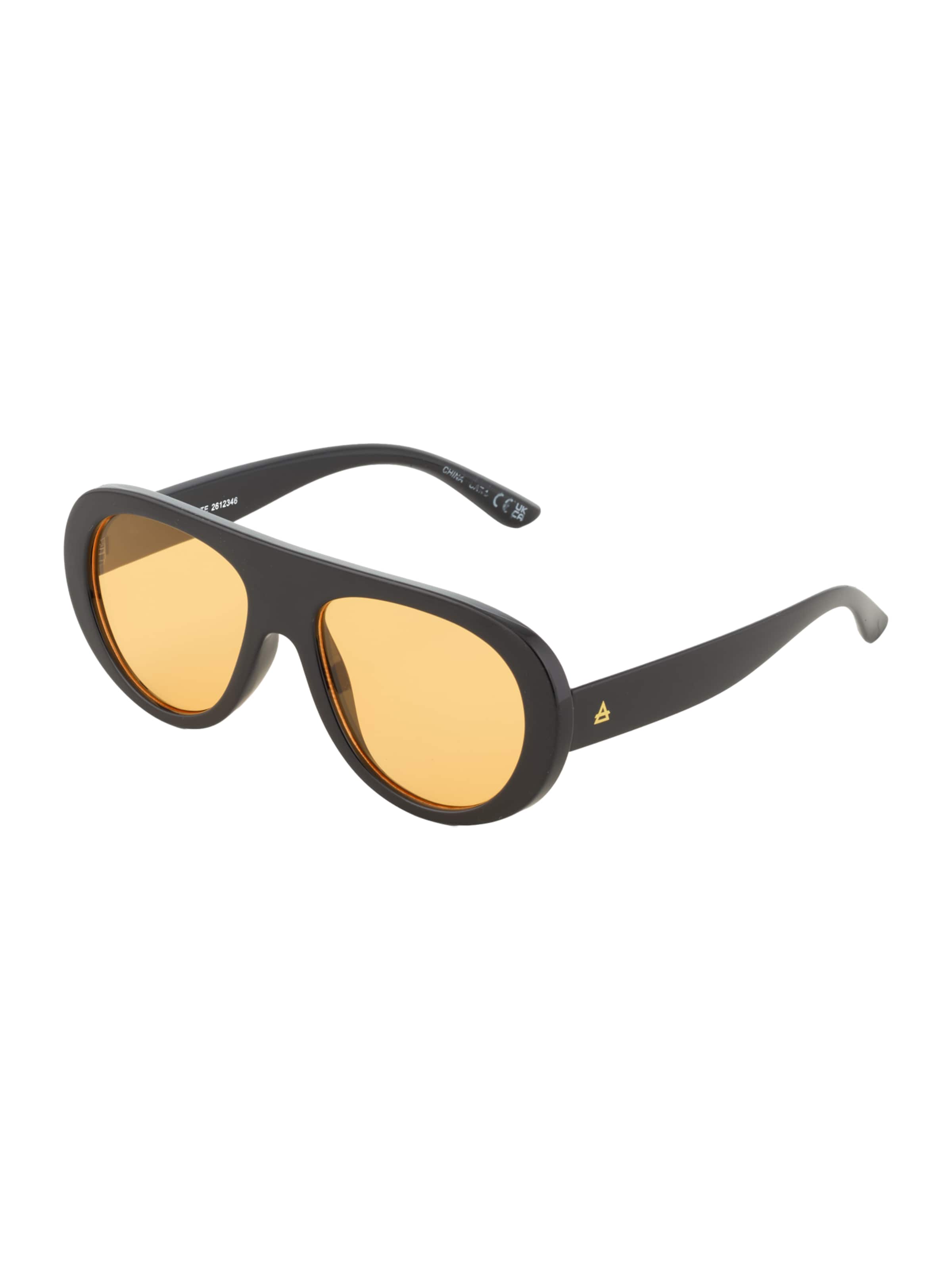 Aire Solglasögon 'SATELLITE' i svart: framsida