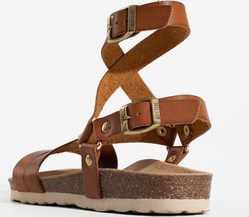Bayton Strap sandal 'Armidale' in Brown