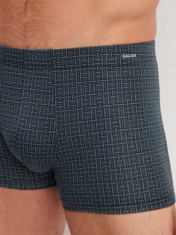CALIDA Boxer shorts 'Cotton Code Design' in Black